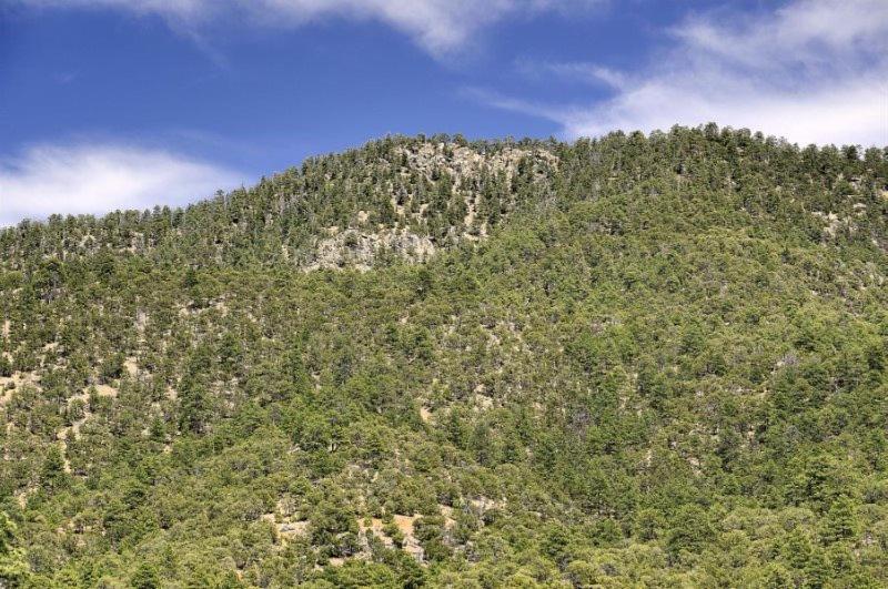 فيلا سانتا فيهفي Ponderosa Estate المظهر الخارجي الصورة